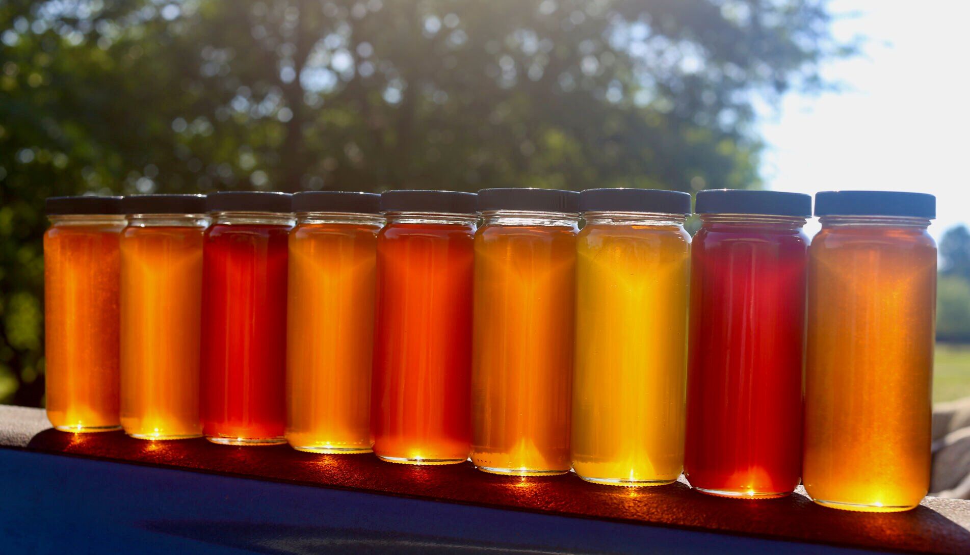 Honey colors